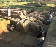 harappa excavation