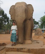tarini and elephant