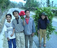 pokhara boys