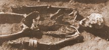 Harappa Skeletal remains